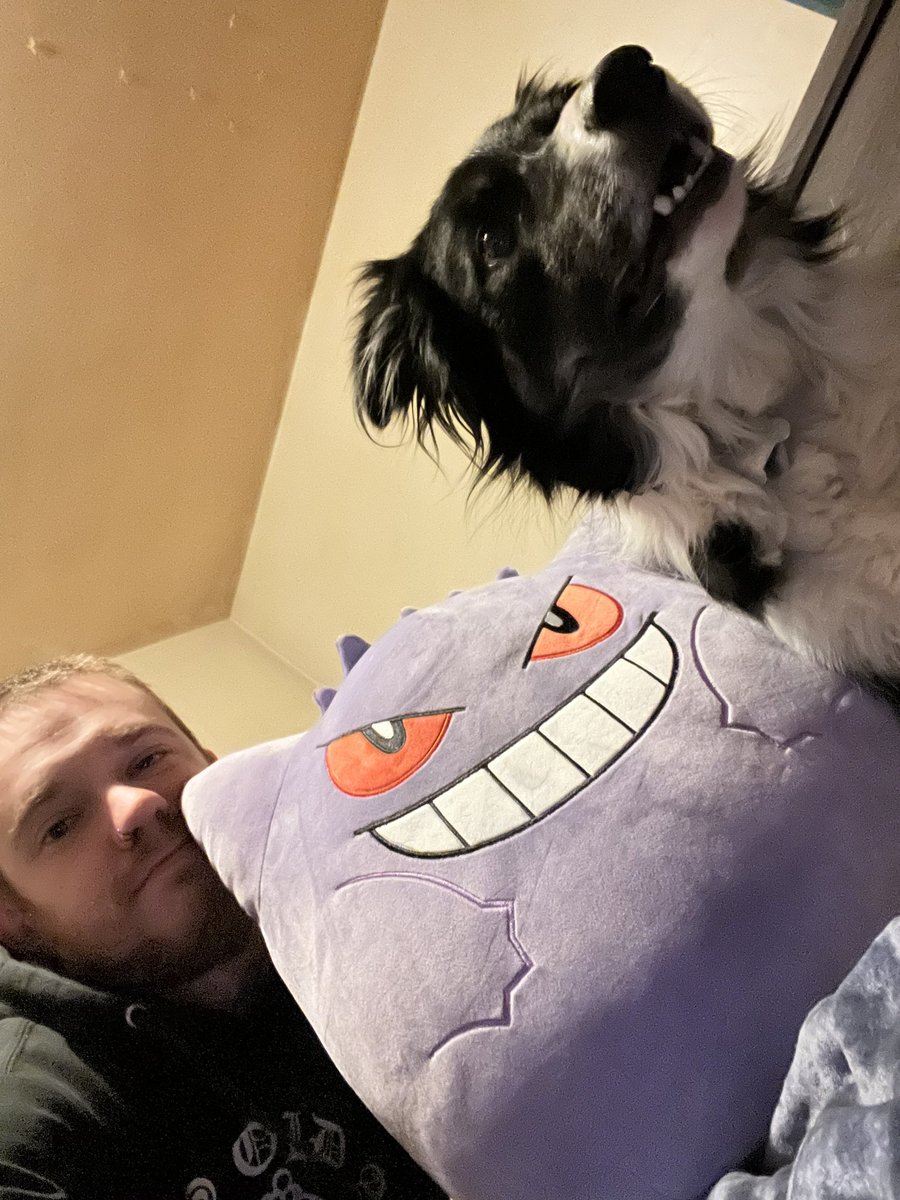 phantasmicxx's tweet photo. Gengar Squishmallow is finally mine #pokemon #gengar #squishmallows #gay #lgbt https://t.co/UOx3gJuUFq