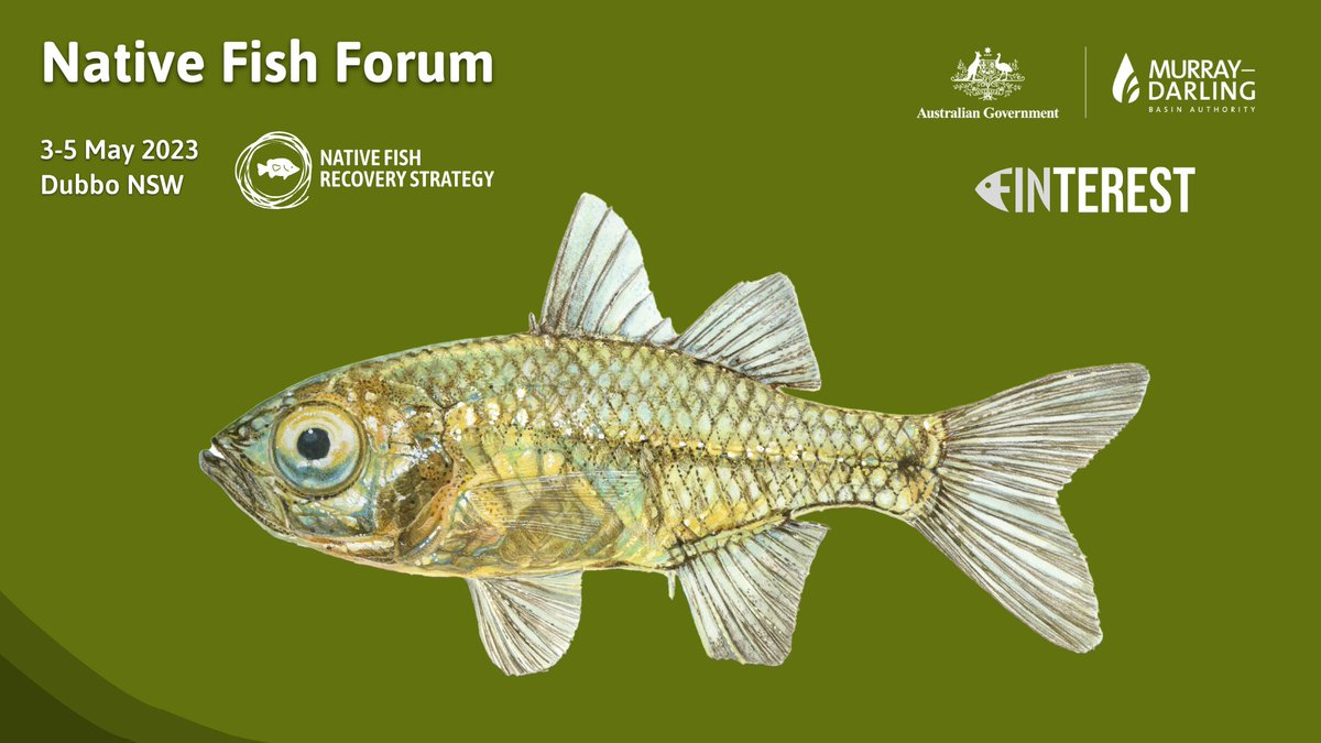 Finterest tweet media