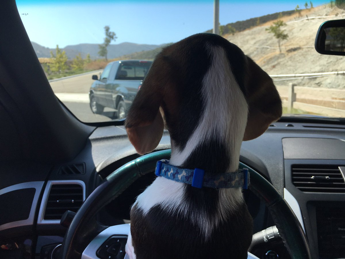 Troy Scofield tweet media