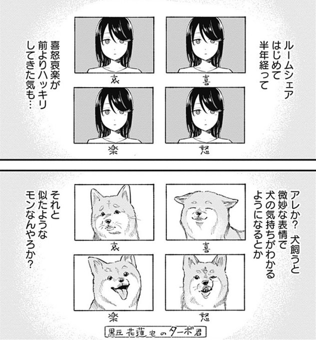 第8話 2021年11月6日 京王杯2歳ステークス(GⅡ)話 / きみと観たいレースがある - 原作:渡辺零・駿馬京/漫画:くわばらたもつ | COMIC OGYAAA!! (コミックオギャー)|おもしろい、がうまれるところ https://t.co/dhPwjVQ7SY #きみレース 

ここだいすき。 