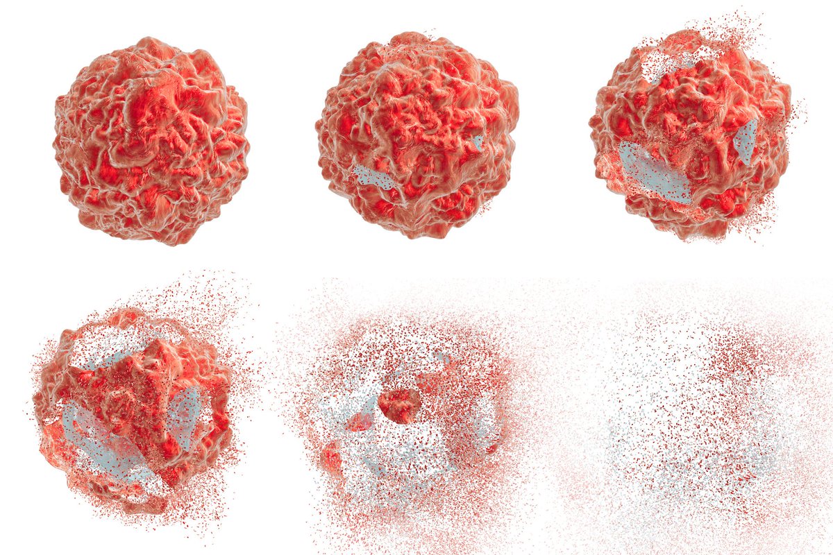 IsoPetForCancer's tweet photo. When injected into a tumor, IsoPet® uses safe radiation and quickly kills #cancer cells with negligible harm to adjacent healthy ones.
The non-toxic polymer dissolves the growth and is eventually absorbed by the body.
#IsoPet® is #RadioGel™ for pet use.
$RDGL #cancerfreepet https://t.co/USRNnwHWQM