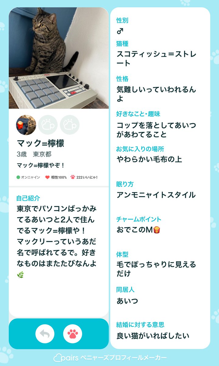 maclemon_cat's tweet photo. 猫用Pairsのペニャーズはじめたやで！ https://t.co/OINUU4vzKd
