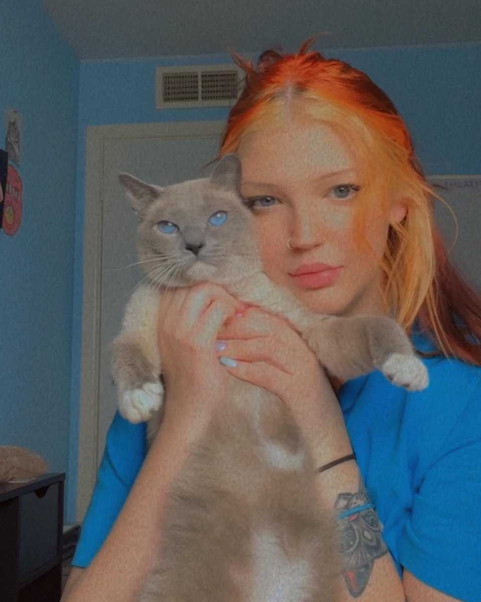 irldead's tweet photo. 🍊🍊🍊 https://t.co/LPLk5RcLqU
