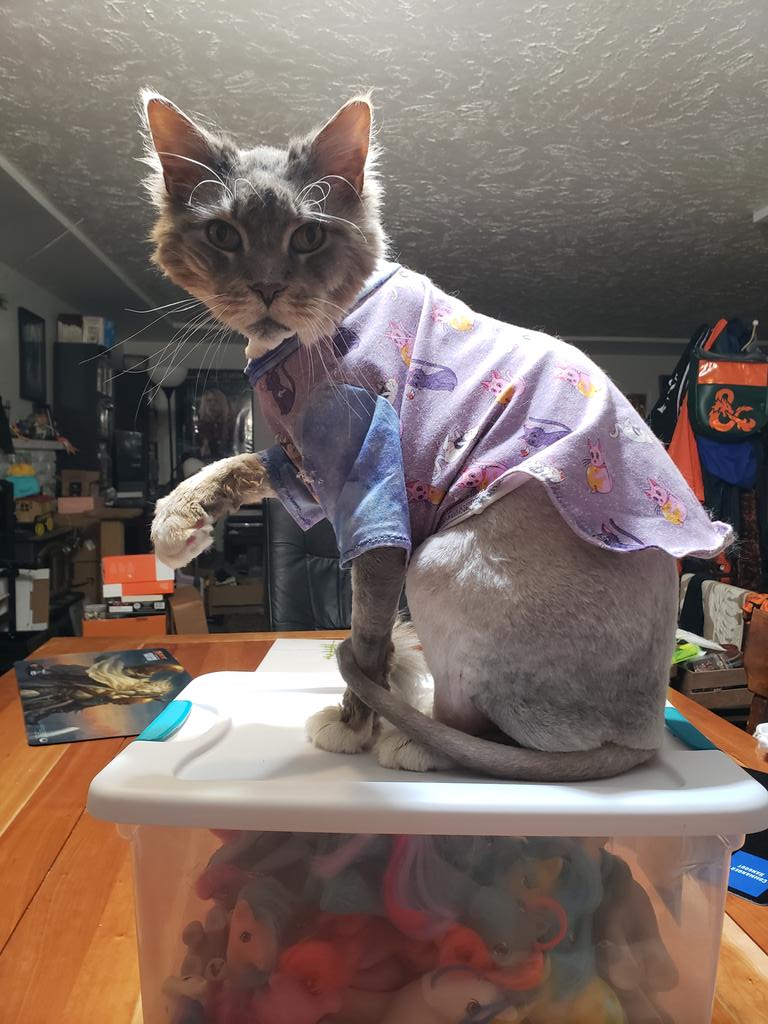 seananmcguire's tweet photo. He hath been peeled. https://t.co/QlRz2AVfc2