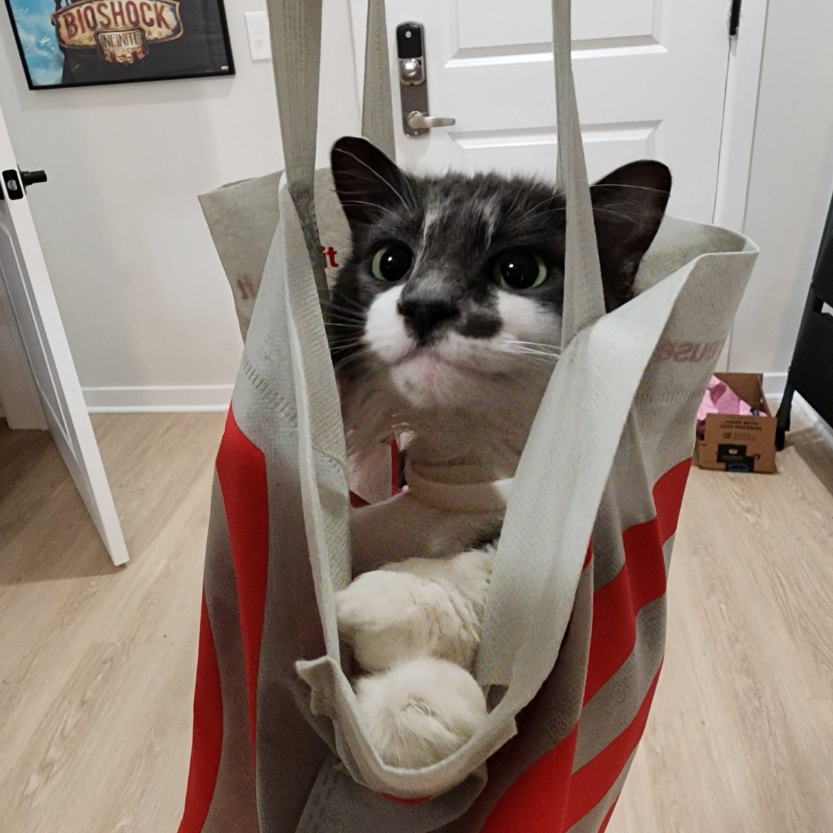 Jesse Akatsuki tweet media