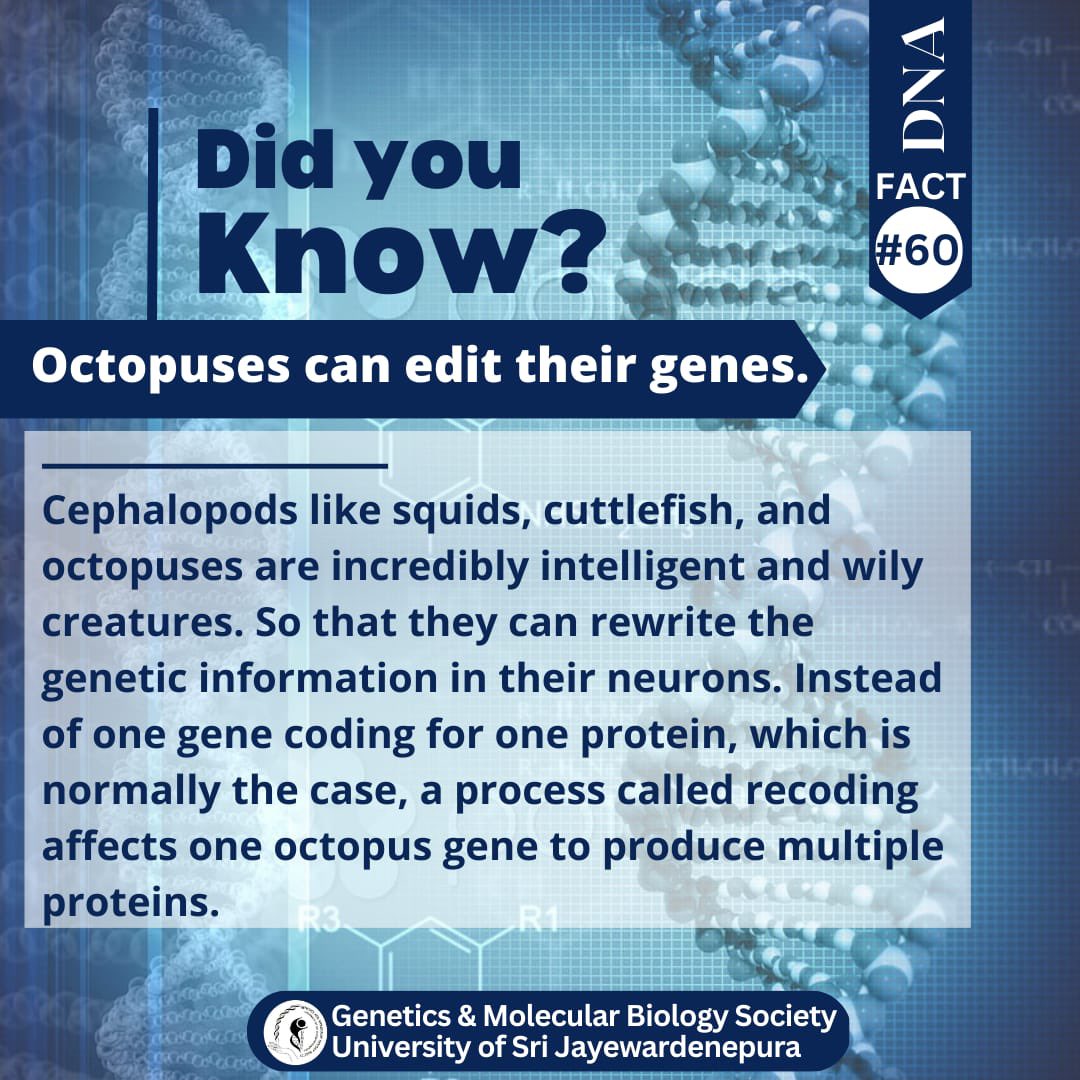 GEMSOC_USJ's tweet photo. DNA facts #60
#DNAfacts #GEMSOC #usj #genes #cephalopod #octopus #neurons #protein #genecoding https://t.co/sqLzFFbyp5