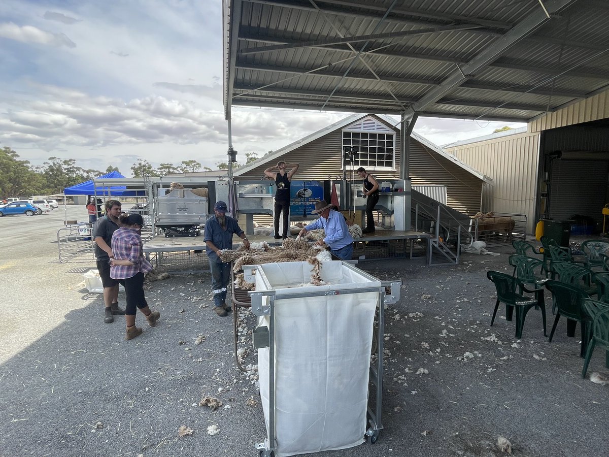 Australian Wool Innovation tweet media