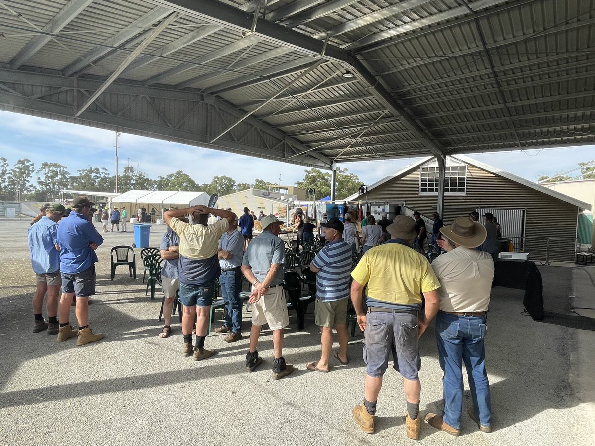 Australian Wool Innovation tweet media