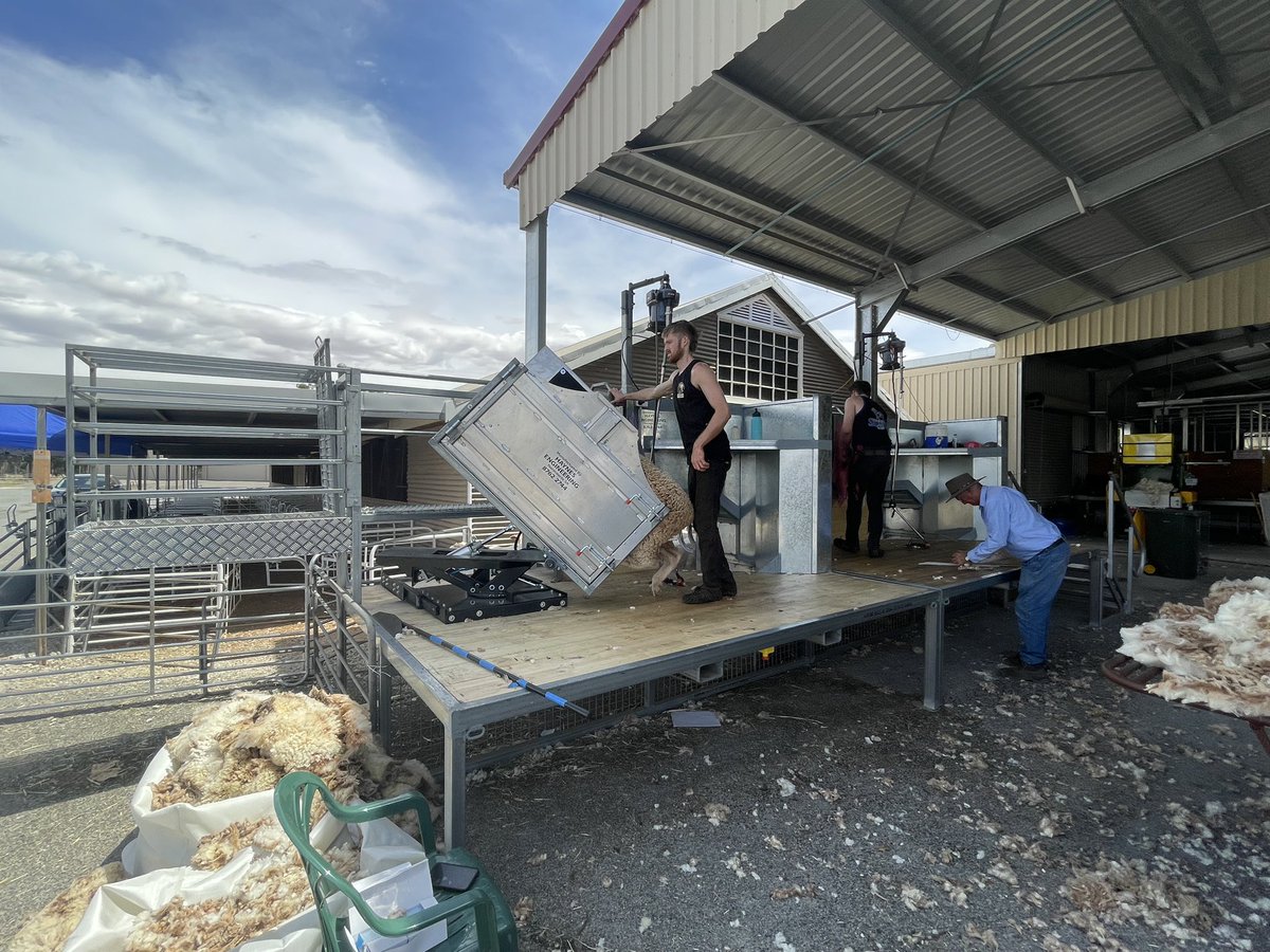 Plenty of interest and advice about the race delivery units at <a href="/SA_PIRSA/">PIRSA</a> day at Jamestown.. come see the same units at the AGKI tech day on Thursday <a href="/EllaMattaStud/">Ella Matta Pastoral</a> @FarmOwners <a href="/islandwool/">Island Wool Company</a> @SheepConnectSA