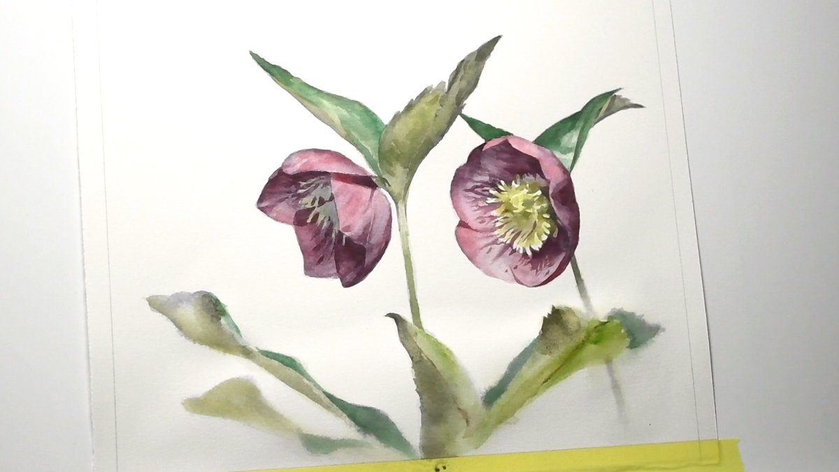 油彩でも水彩でも同じですが、下描きの形と完成したときの形はほとんど変わっていません。
つまり下描きを丁寧に描いて、その形を大事にしながら完成まで描いているということ。
修正は画面が汚れる原因。