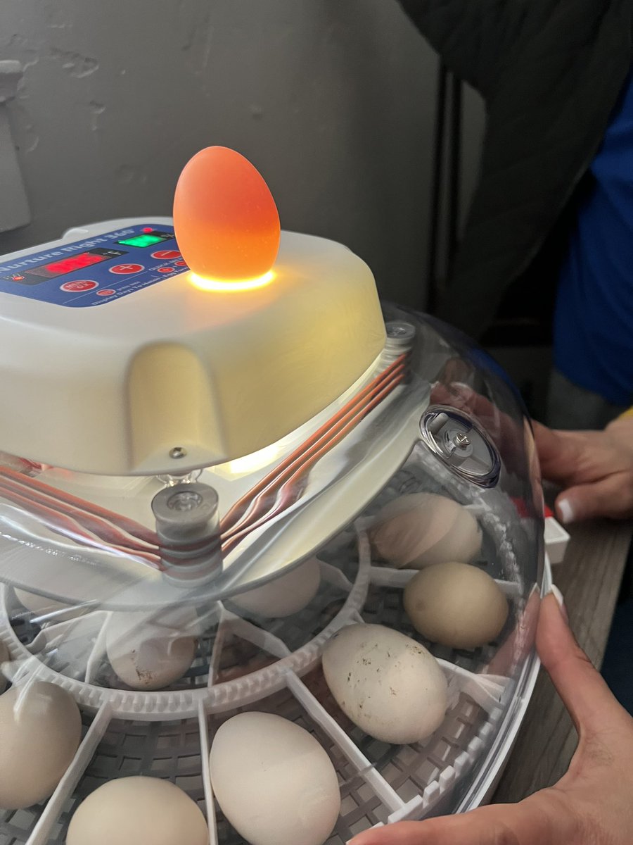 Jessica Eaton tweet media