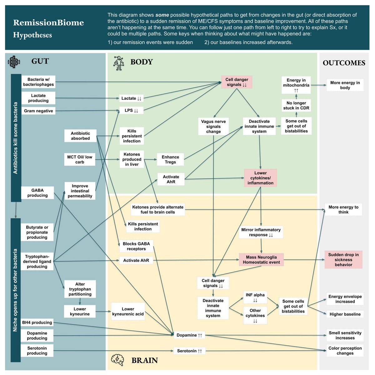 remissionbiome's tweet photo. New #RemissionBiome hypotheses diagram created by @mildTin! https://t.co/TSxwPbyumi