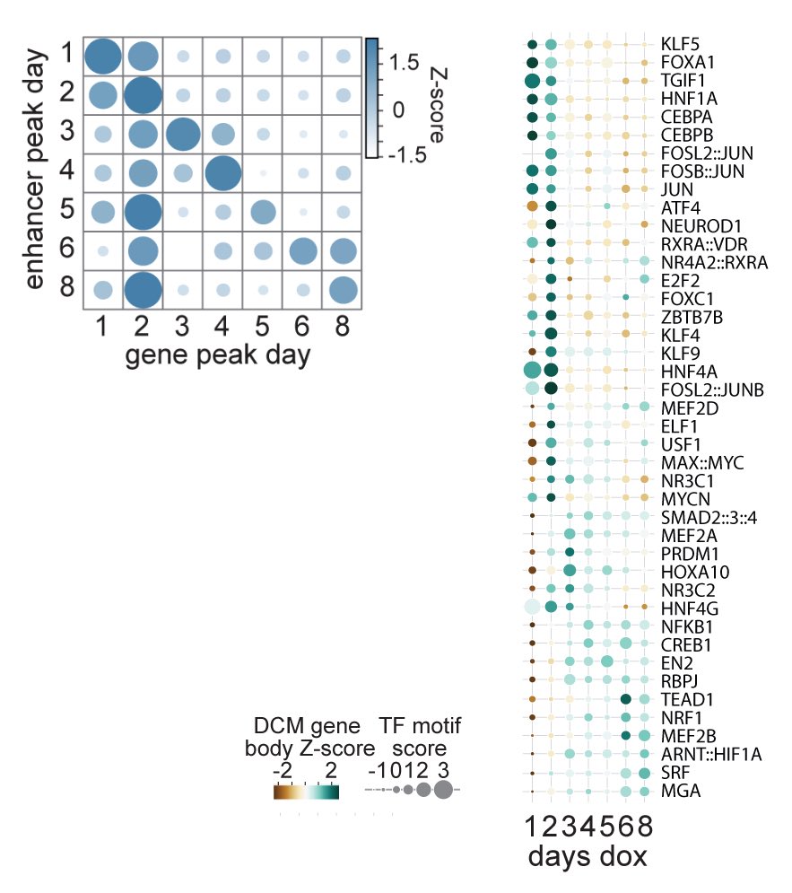 Gribnau lab tweet media