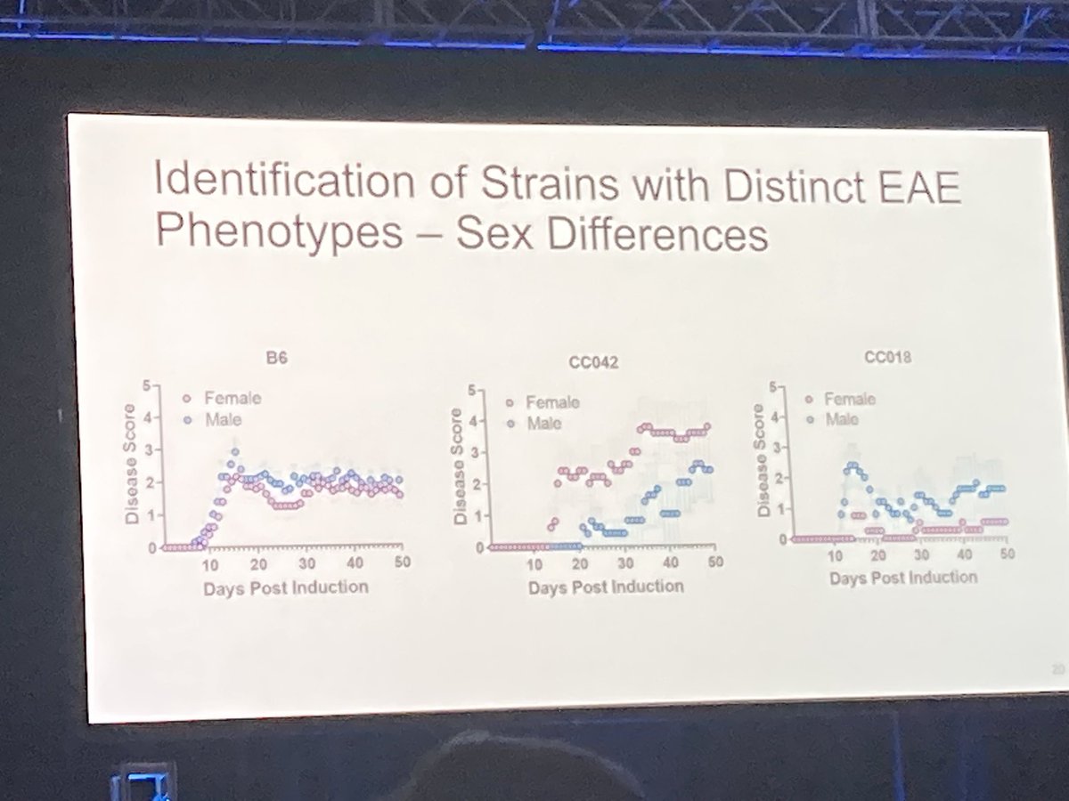 Next, Emily Holt shares her research on development of an EAE model for CC strains which demonstrate a variety of phenotypes, further expanding the repertoire of the EAE 🐁 model. Thank you for sharing this interesting work! #ACTRIMSForum <a href="/neurology_live/">NeurologyLive®</a> <a href="/alisecarlsonmd/">Alise Carlson</a>