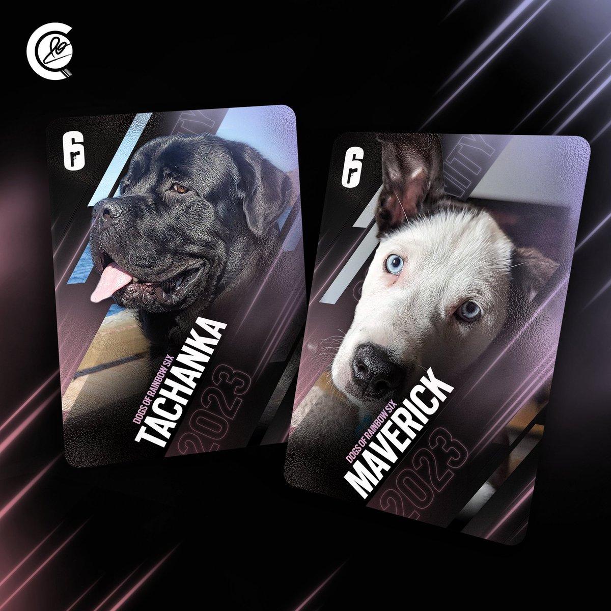 Mr_Papou's tweet photo. Thank you so much @CandorR6, they look amazing! #RainbowSixSiege #R6Community https://t.co/pZiGo9dmN4