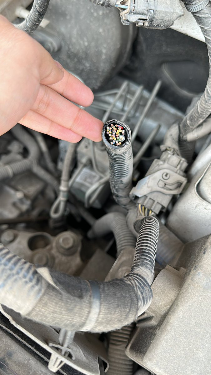 OscarBarat's tweet photo. Me acaban de robar la computadora de mi carro, enfrente de las torres de Satélite, sobre Circuito Geógrafos. Qué onda @GobNau 😡 https://t.co/63AG75q7bZ