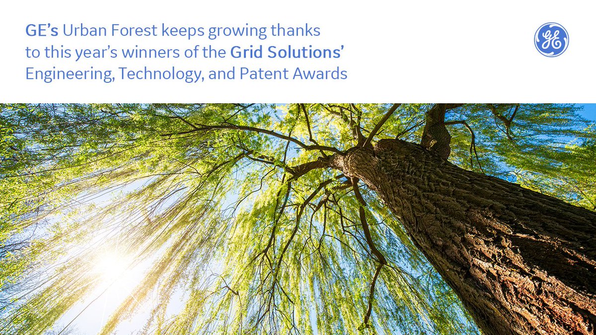 gegridsolutions's tweet photo. #GEGrid #EngineersWeek: We celebrate the 2022 Engineering, Technology, and Patent award winners, recognized for their valued contributions in engineering & in driving innovation throughout the business. To honor each winner, a tree will be planted in GE's Urban Forest, Spain. https://t.co/ptcMQHvdw3