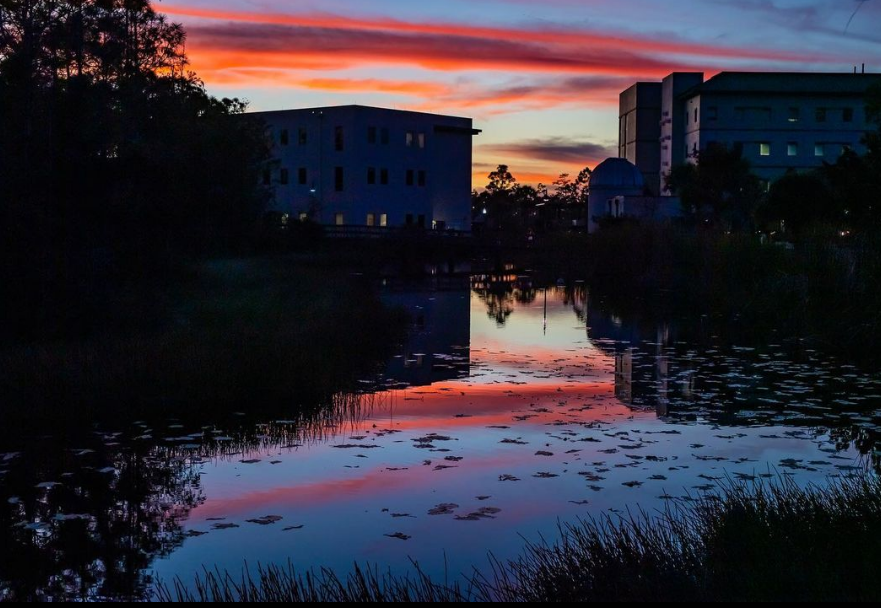 fgcu's tweet photo. Colorful skies😍 >>>> #FGCUsunset https://t.co/eF1w6Ru3H7