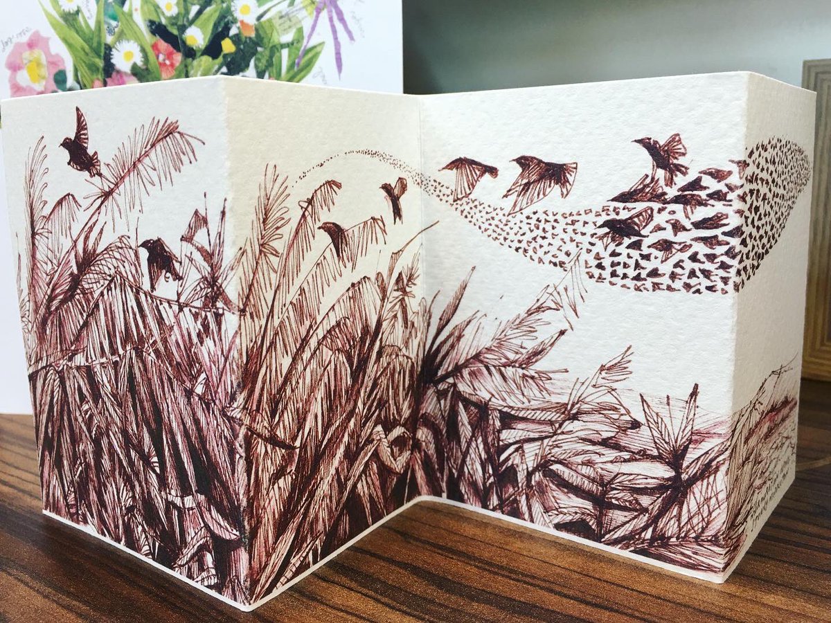 aheavysoul's tweet photo. Made some concertina cards. Theyโre available at #GalleryintheGardens @GardensBuxton #Buxton #andreajoseph https://t.co/hQsslZowYu