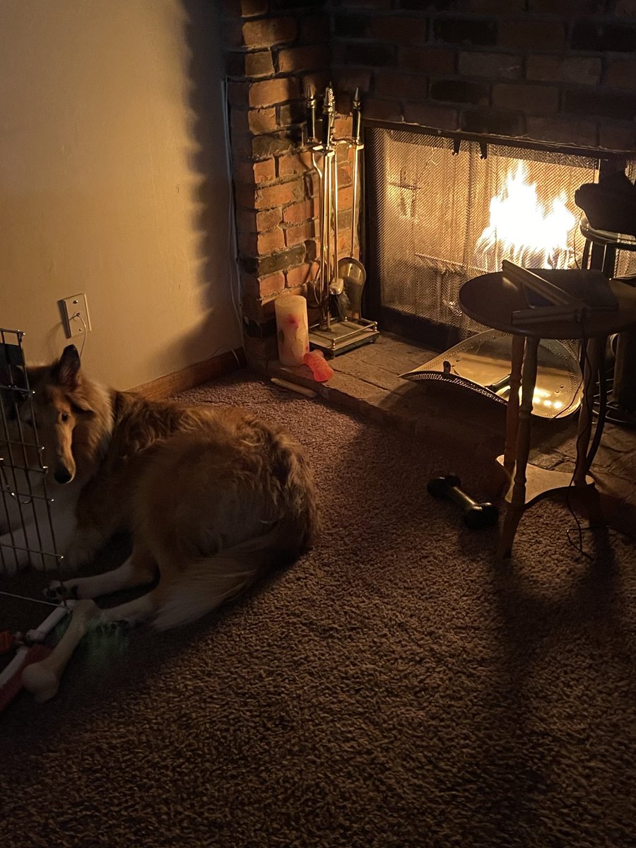 BethFisherWWJ's tweet photo. So this happening. Obi enjoying a nice fire since we lost power. #icestorm23 #roughcollie @WWJ950 https://t.co/u1h8phQVRL