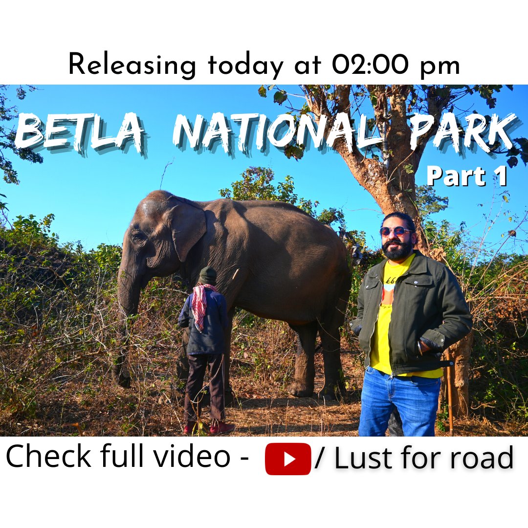 Lust_for_Road's tweet photo. Watch full video - https://t.co/bLCNWaQADm https://t.co/oJfV5O2CHJ