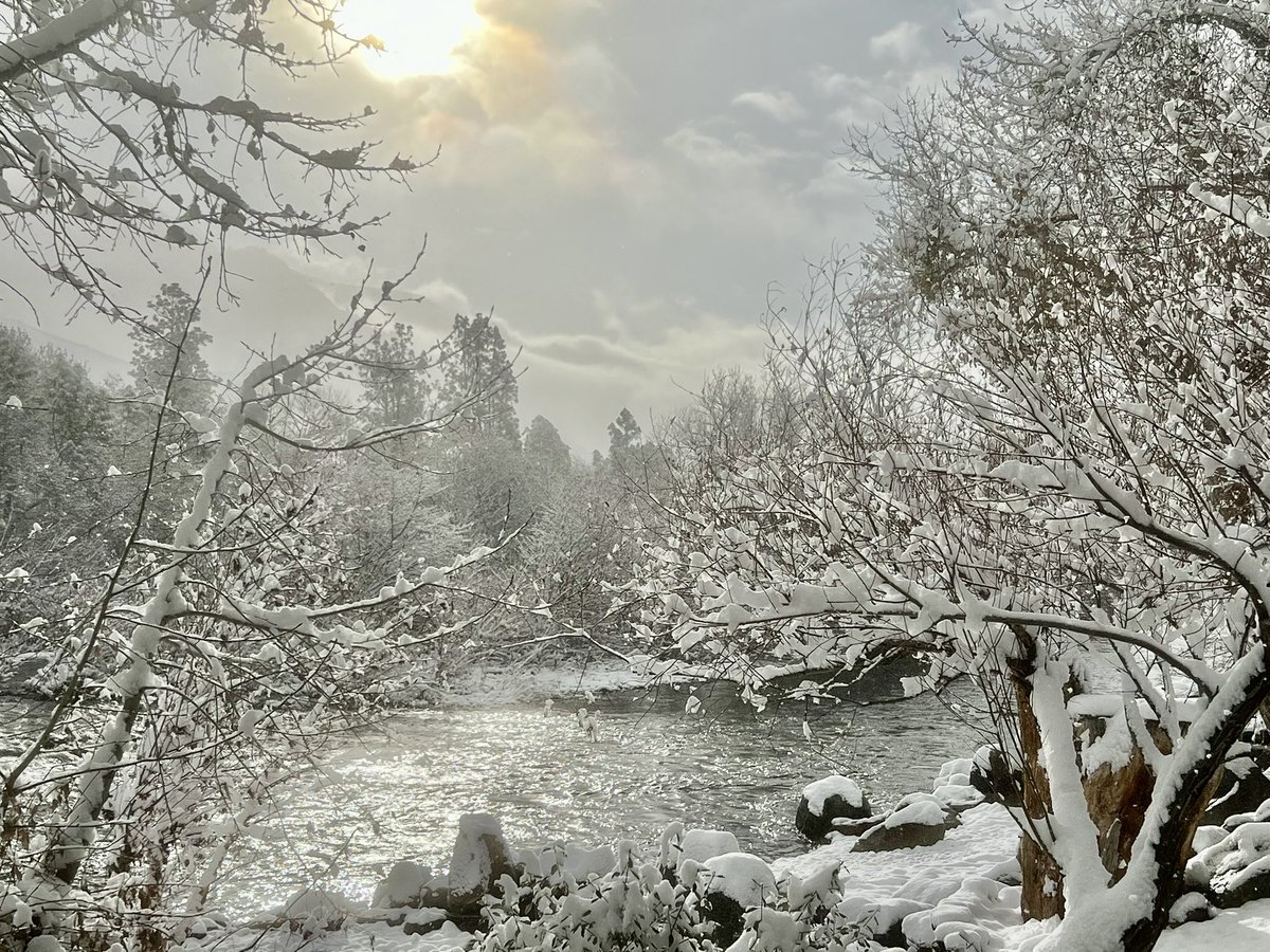 rpiazza's tweet image. #TweetMyView #KernRiver #KernvilleCA