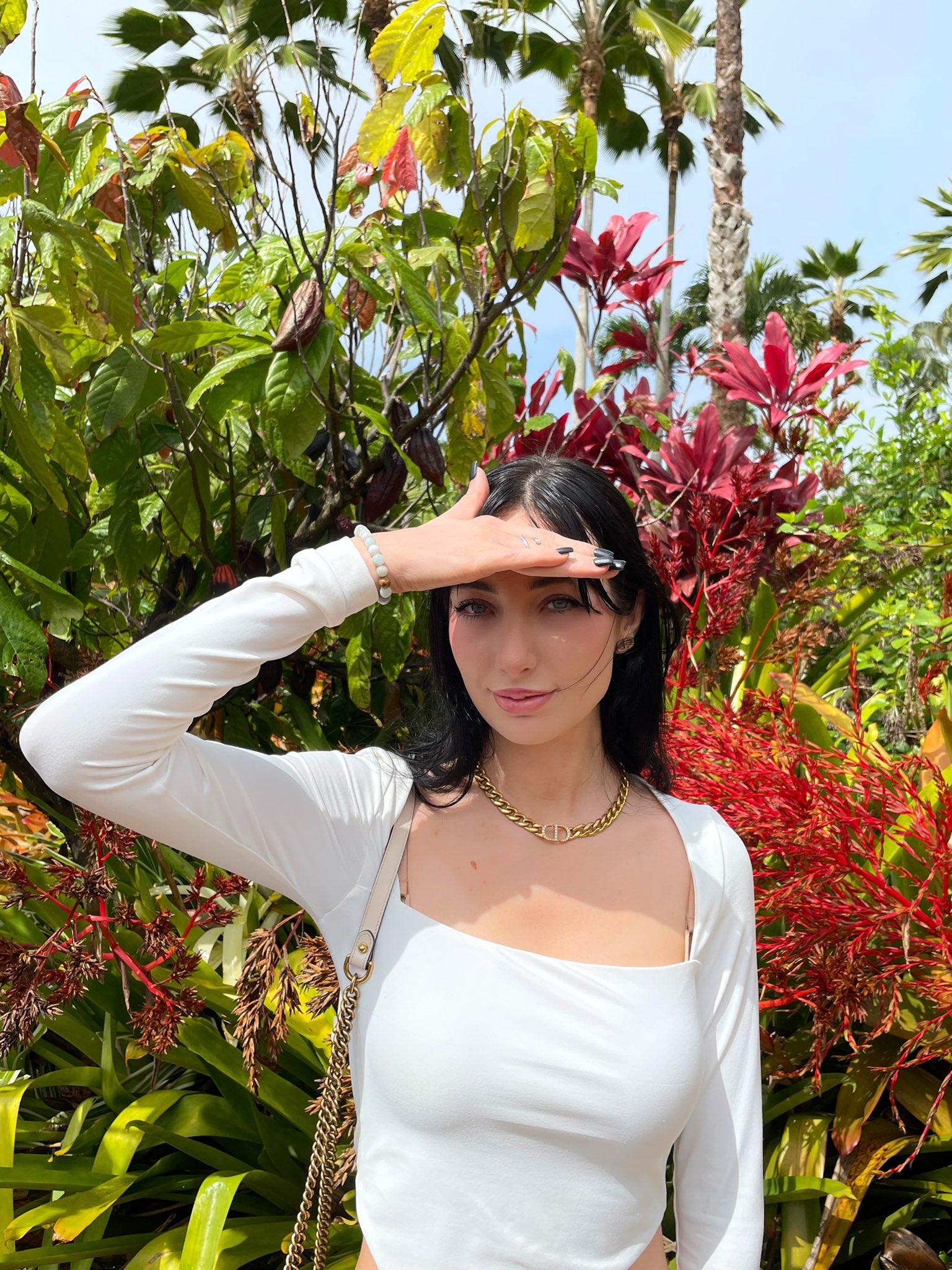 foreplay 2.0 on Twitter: "hawaii media :3 https://t.co/9JtCThmUPV