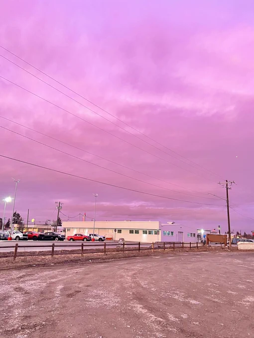 the sunset colors the other night were so wildly pretty  