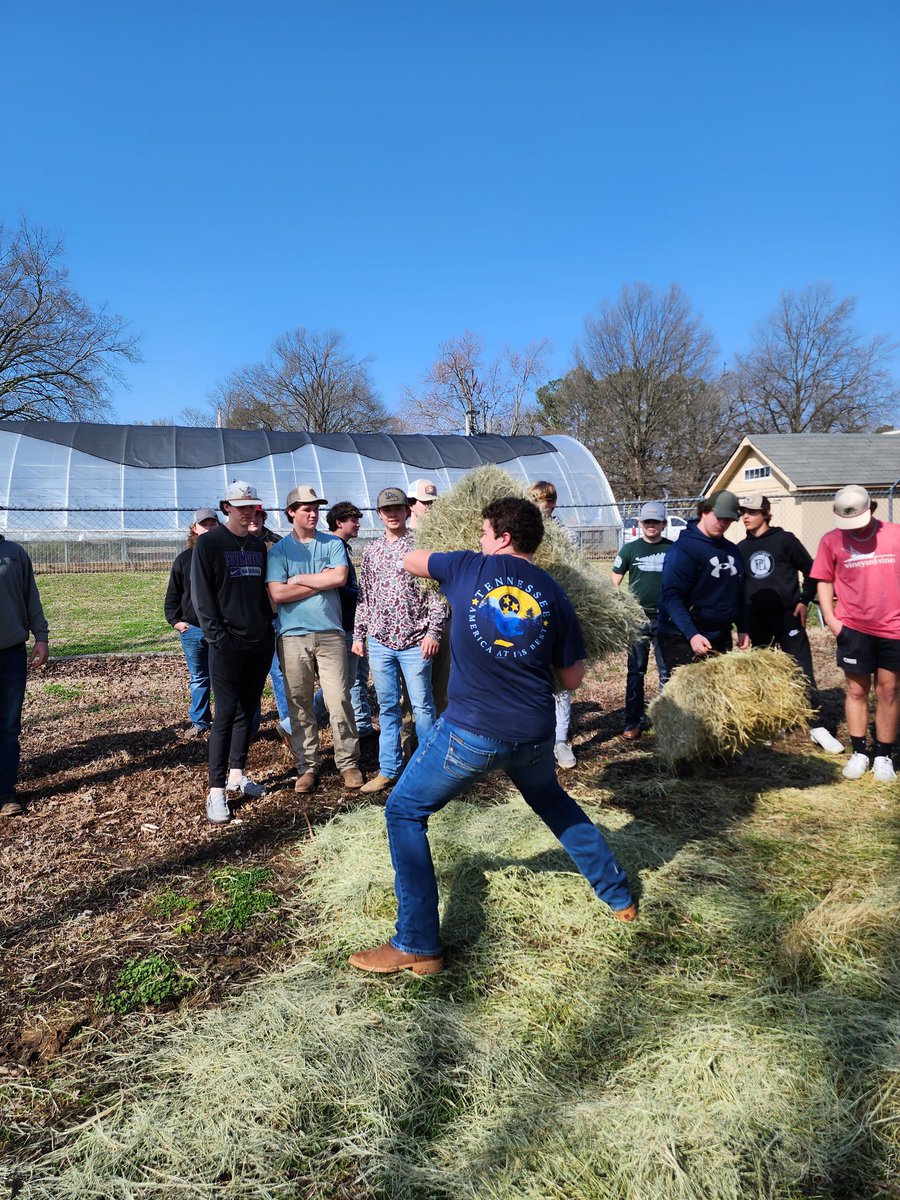CovFFA's tweet image. Day 2 of Ag Olympics did not disappoint!! Looking forward to finishing FFA Week strong! #wegrowthefuture #ffamemberslovefood #stayingpositive #woocrew #livealittle #stayinit #endlesspossibilities