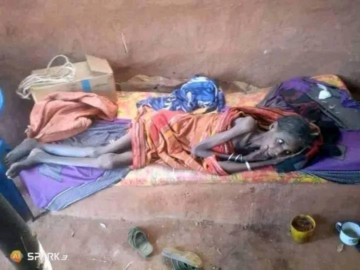 Sanyiikoo_Oromo's tweet photo. A devastating drought in Southern Oromia's #Borana region causing widespread suffering. Aid organizations must reach this region to save the remaining lives. @USAIDAfrica @WFPChief @UNDP @hrw @RedCross https://t.co/6DgIfwE4wC