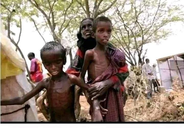 A devastating drought in Southern Oromia's #Borana region causing widespread suffering. Aid organizations must reach this region to save the remaining lives. <a href="/USAIDAfrica/">USAID in Africa</a> <a href="/WFPChief/">Cindy McCain</a> <a href="/UNDP/">UN Development</a> <a href="/hrw/">Human Rights Watch</a> <a href="/RedCross/">American Red Cross</a>