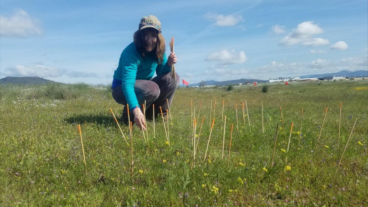 landconserve's tweet photo. 160 volunteers put  in 1,535 hrs in 2022; 80 of whom spent 800 hrs caring for SOLC preserves.  This was a great help as the organization took on 194 more acres last year. Volunteers aided in monitoring and managing plants and special species, fence removal, site cleanup and more! https://t.co/TgLupzASeC