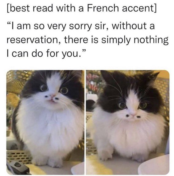 WholesomeMemes (@wholesomememe) on Twitter photo 