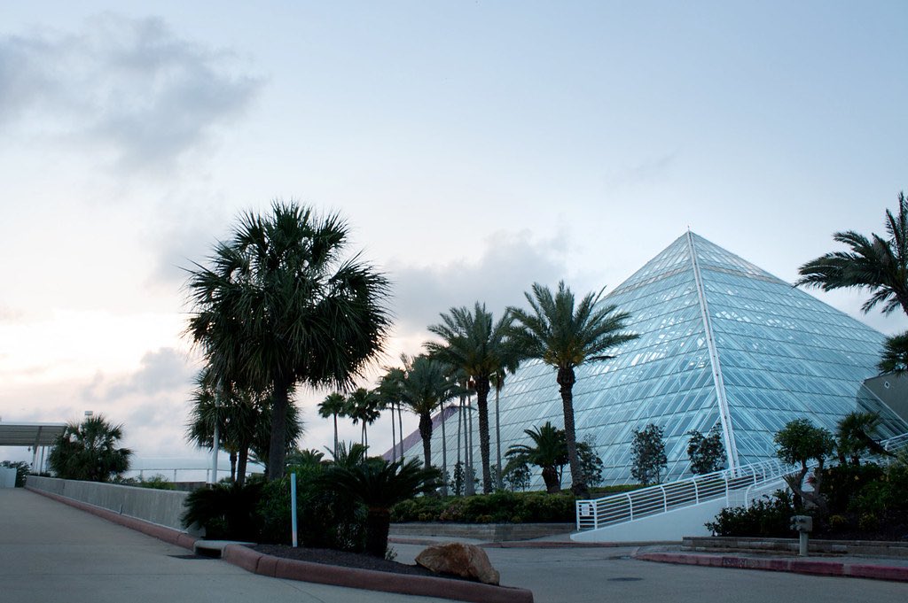 Star Style tweet media