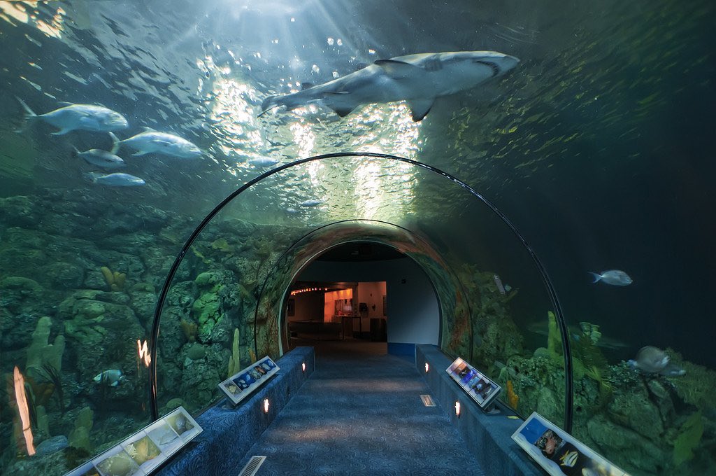 Star Style tweet media