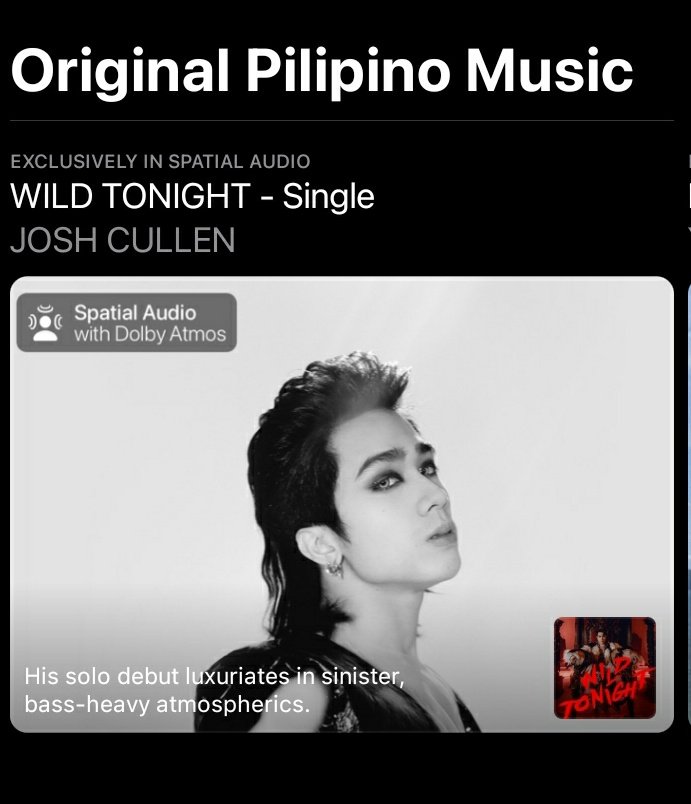 cheekyngjosh's tweet photo. AKALA KO OKAY NA AKO SALIP RING AT TATTS JUSKO PATI MULLET HAIR ANOBA JOSHCULLEN ANG AGA PA PARA PUMANAW 

JCWildTonight OUT NOW
@JoshCullen_s #JoshCullen
#WildTonight #JoshCullenSoloDebut https://t.co/SfD69ixIkH