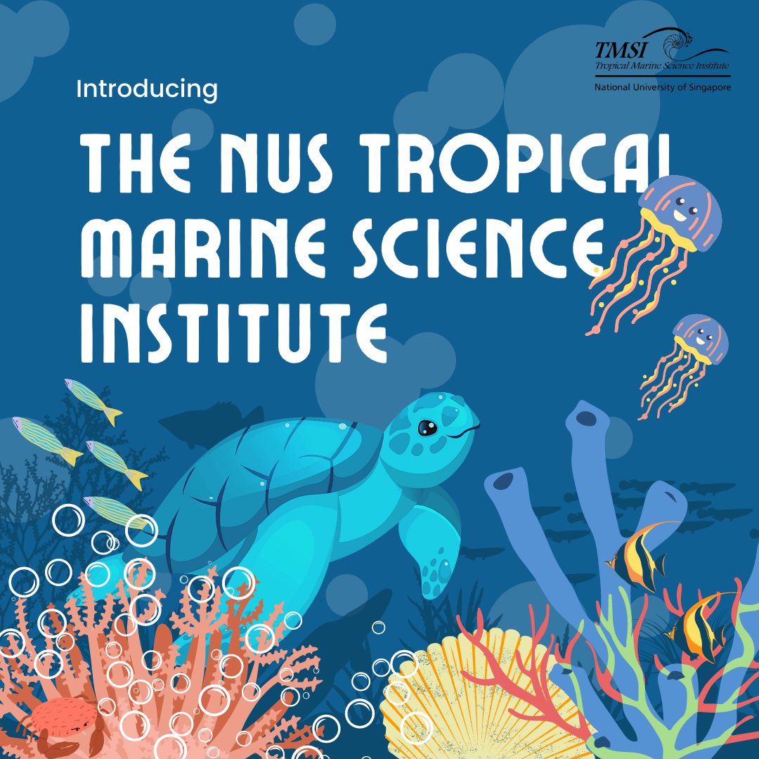 NUS Tropical Marine Science Institute tweet media