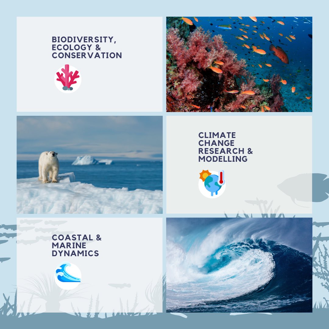 NUS Tropical Marine Science Institute tweet media