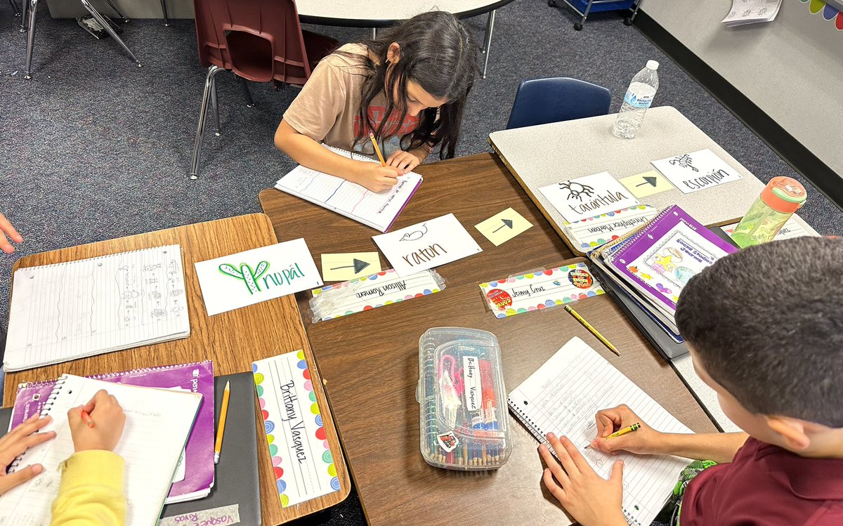 Fun food chain activity! 🌞🌱 <a href="/ajbushelem/">Bush Elementary</a> <a href="/AliefScience/">Alief Science</a> <a href="/BushScience/">Bush Science</a> #BetterTogether