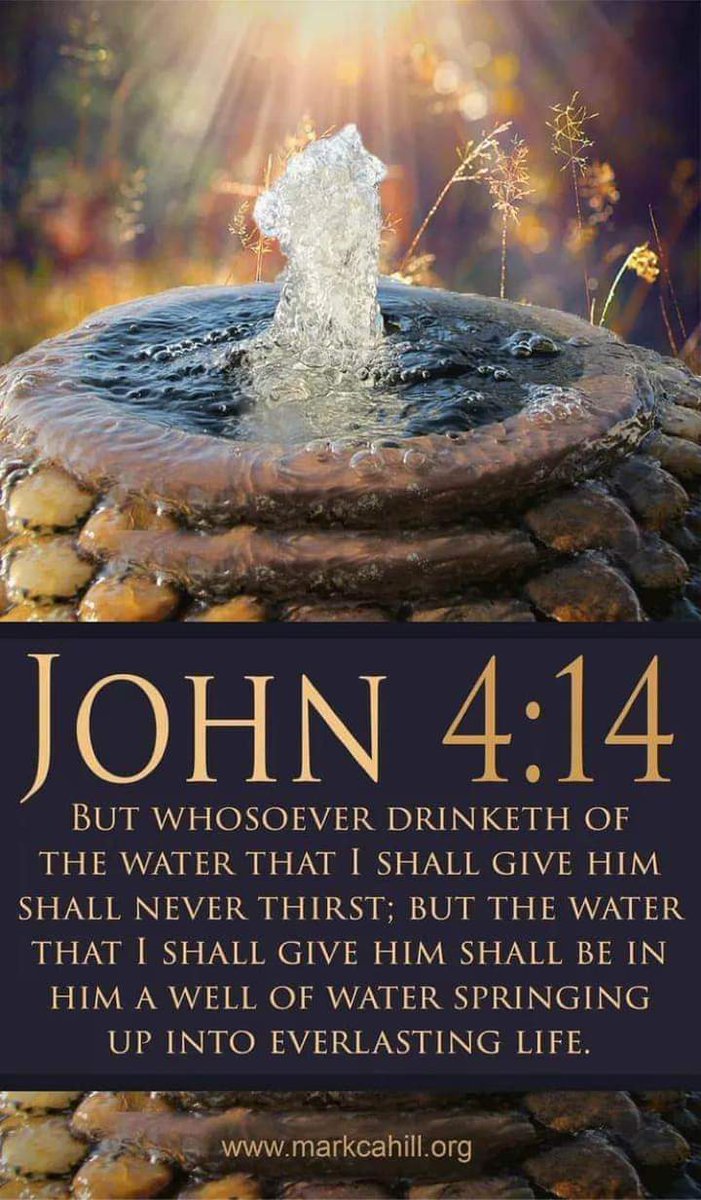 Suzi Holland (@suziholl316) on Twitter photo 