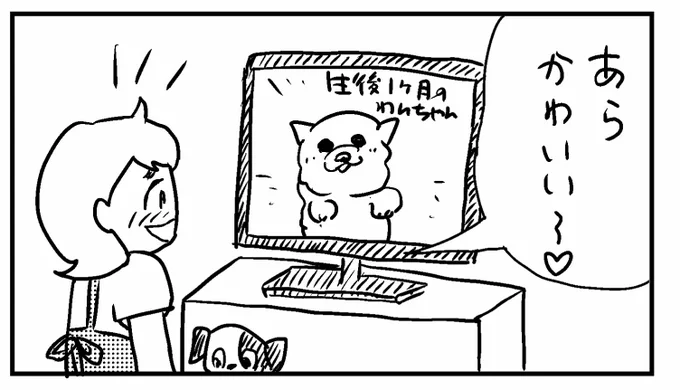 4コマ「モフモフ」

#4コマ漫画 #漫画 #犬 #釧路新聞 #今日もふくふく 