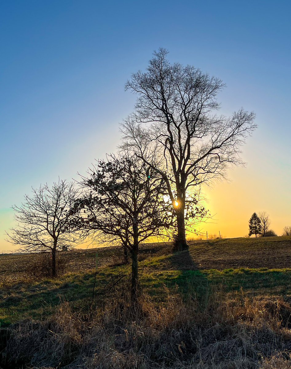 Craziness - late February and a 70 degree day #Pennsylvania #southcentralpa #yorkcountypa