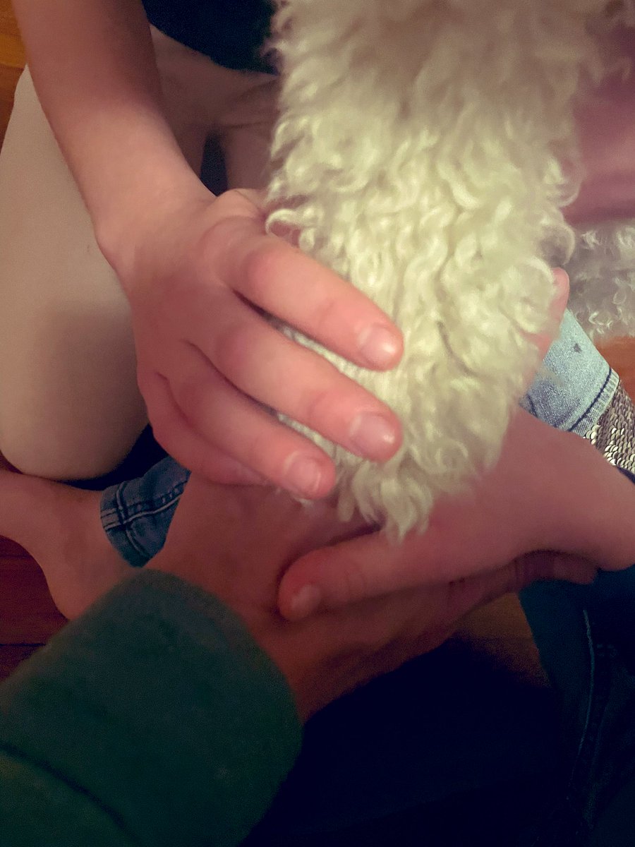 Aimee Witteman tweet media