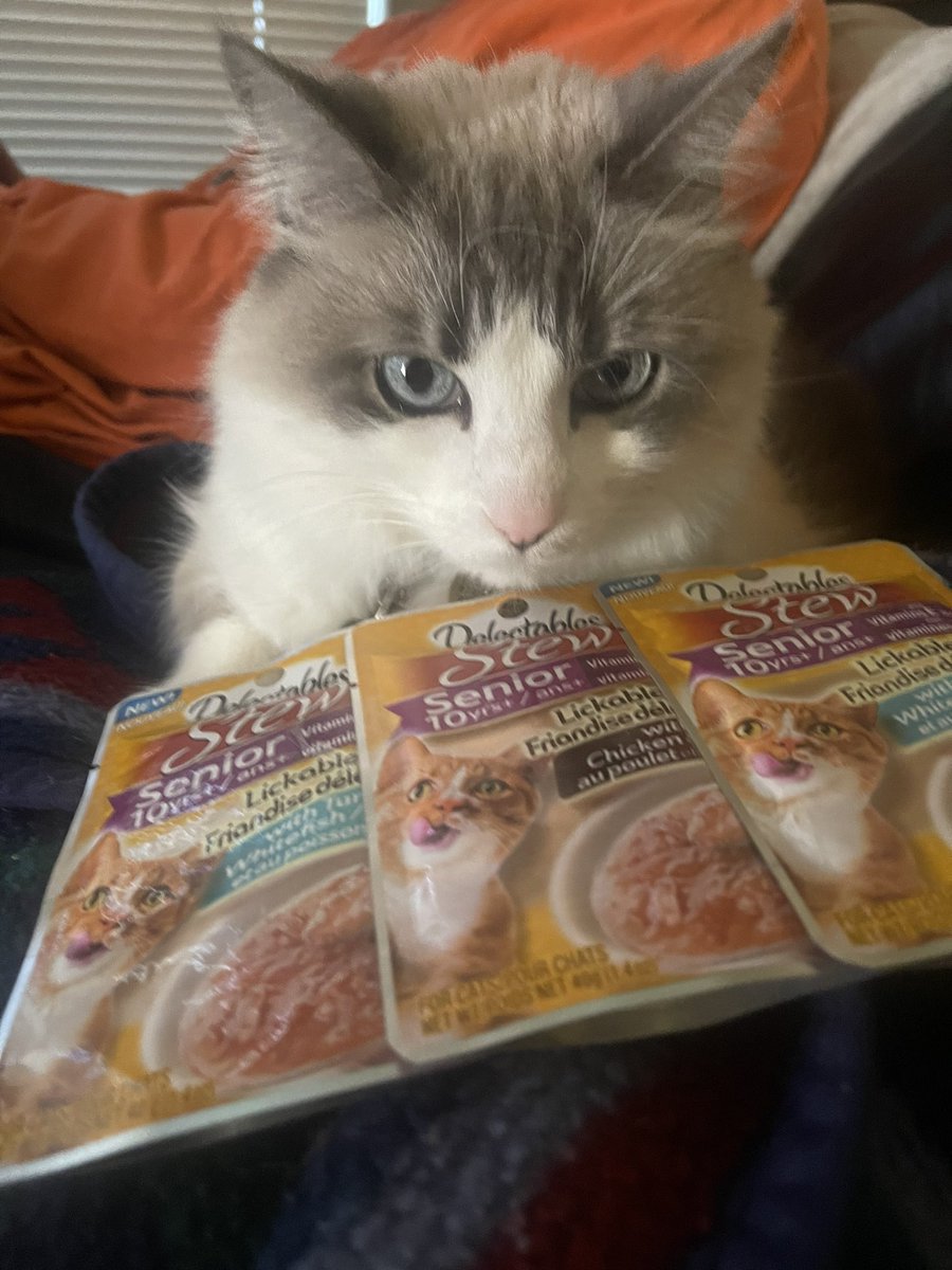 Thank you <a href="/JoinPeekage/">Peekage</a> <a href="/PeekageApp/">Peekage</a> for sending Felicity these Delectables stews! Excuse my queen, she has #RBF