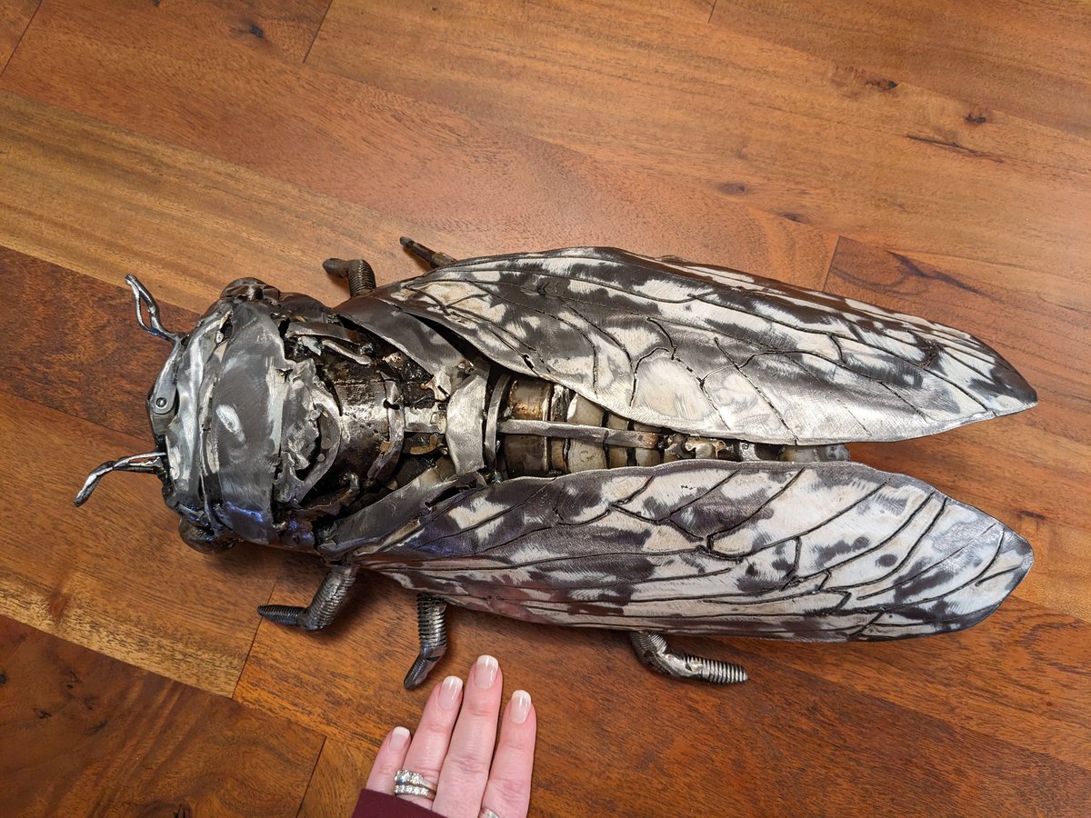 Meagan Lucas tweet media