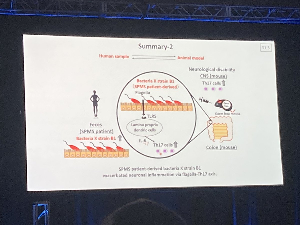 The “❌ Factor”. Dr. Takewaki discusses the role of Bacteria X strain B1 in exacerbating neuronal inflammation via the flagellar Th17 axis in progressive #MS. #ACTRIMSForum <a href="/neurology_live/">NeurologyLive®</a> <a href="/alisecarlsonmd/">Alise Carlson</a>