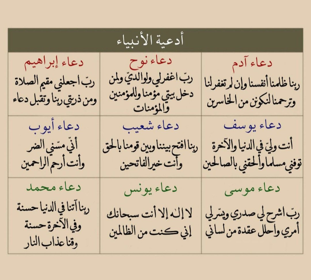 ꜱᴋʏ | 🐅 tweet media