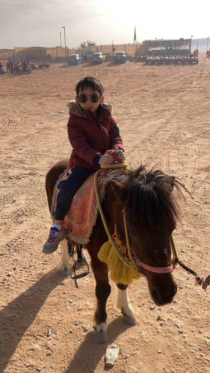 ninjaarnon's tweet photo. 🏜🇸🇦🐫💚 @sarevoel https://t.co/LKtgBJSljd