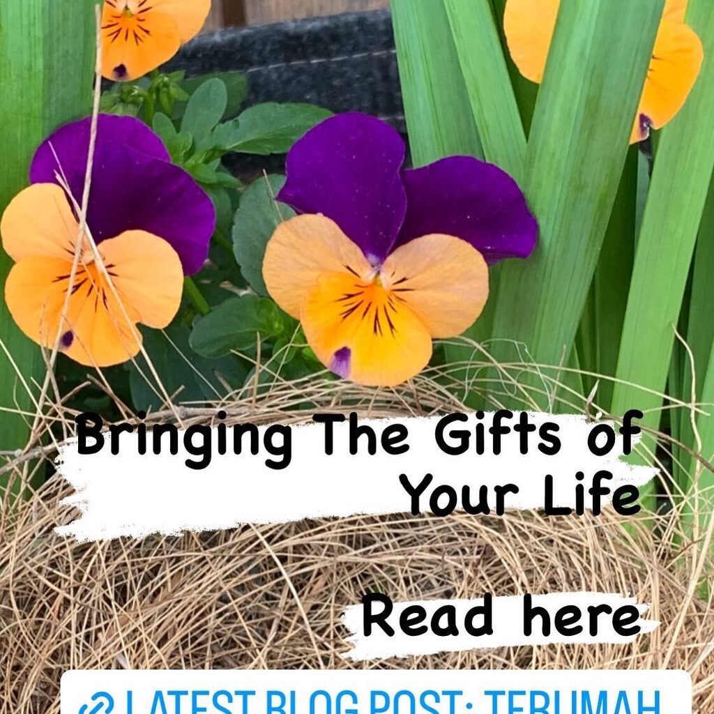 In Terumah, we are asked to bring gifts from the heart. In this piece i explore the idea that those gifts may be the wisdom from our own life experiences. The link to read is in my bio. Thank you to @babyboomerrabbi for the honor of writing this for her … instagr.am/p/CpBkZT9vbsr/