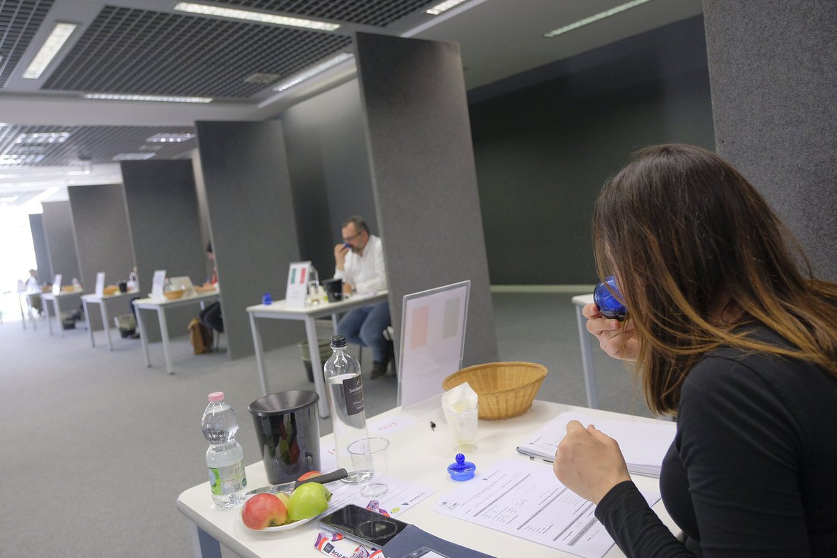 WineNewsIt's tweet photo. Si sfideranno all’ultima goccia i migliori oli #extravergine d’oliva provenienti da tutto il mondo: da oggi al 26 febbraio #SolDOro, il #concorso Internazionale by #Veronafiere riservato ad oli extravergine d’oliva più selettivo al mondo, uno dei più importanti in #blindtasting https://t.co/a25WsHz8by